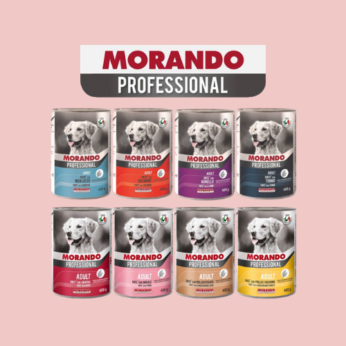 morando dog