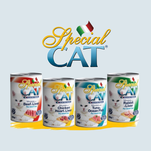 special cat