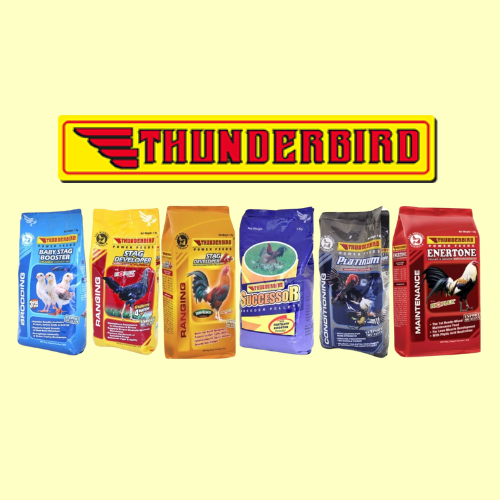 thunderbird