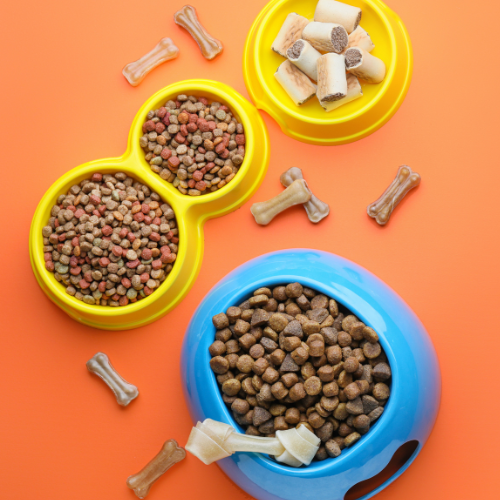 Dog_cat eating bowls
