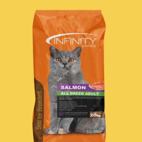infinity cat (1)