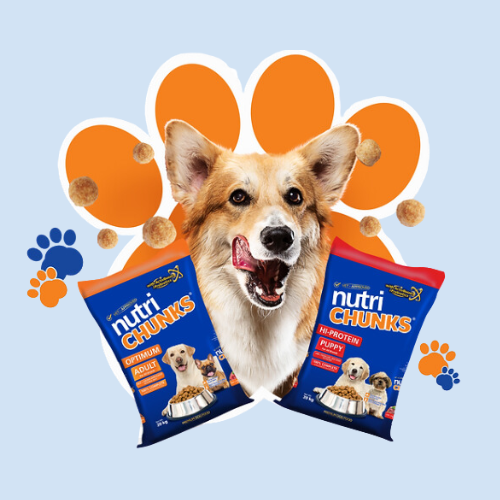Nutri chunks
